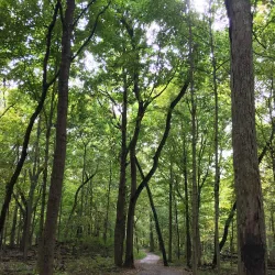Pilcher Park Nature Center - Joliet