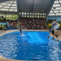 Brookfield Zoo (nearby) - La Grange Park