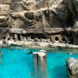 Brookfield Zoo (nearby) - La Grange Park