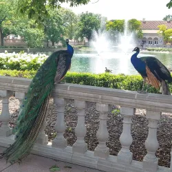 Brookfield Zoo (nearby) - La Grange Park