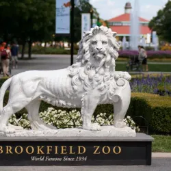 Brookfield Zoo (nearby) - La Grange Park