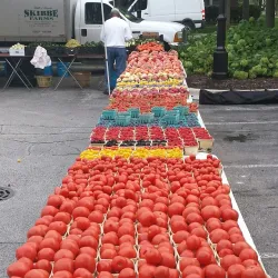 La Grange Park Farmers Market - La Grange Park