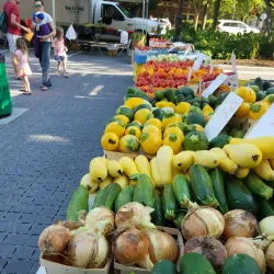 La Grange Park Farmers Market - La Grange Park