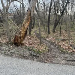 Salt Creek Trail - La Grange Park