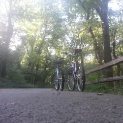 Salt Creek Trail - La Grange Park