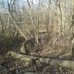 Salt Creek Trail - La Grange Park