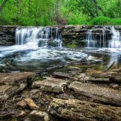 Pinewood Lake Forest Preserve - Lemont