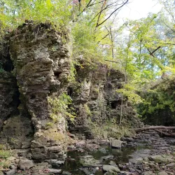 Sagawau Canyon Forest Preserve - Lemont