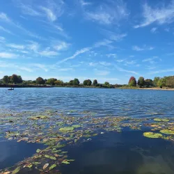 Independence Grove Forest Preserve - Libertyville