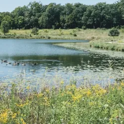 Independence Grove Forest Preserve - Libertyville