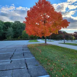 Independence Grove Forest Preserve - Libertyville