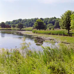 Independence Grove Forest Preserve - Libertyville