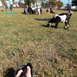 Liberty Prairie Conservancy - Libertyville