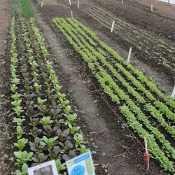 Liberty Prairie Conservancy - Libertyville