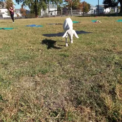 Liberty Prairie Conservancy - Libertyville