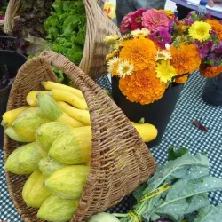 Liberty Prairie Conservancy - Libertyville