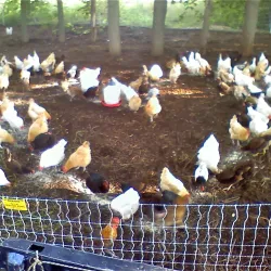 Liberty Prairie Conservancy - Libertyville