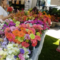Libertyville Farmers Market - Libertyville