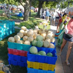Libertyville Farmers Market - Libertyville