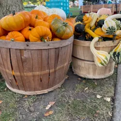 Libertyville Farmers Market - Libertyville
