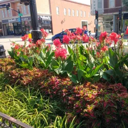 Libertyville Farmers Market - Libertyville