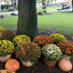 Libertyville Farmers Market - Libertyville