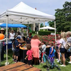 Libertyville Historic Downtown - Libertyville