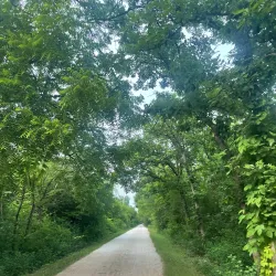 Illinois Prairie Path - Lisle
