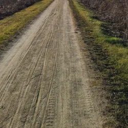 Illinois Prairie Path - Lisle