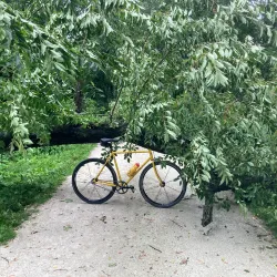 Illinois Prairie Path - Lisle