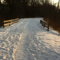 Illinois Prairie Path - Lisle