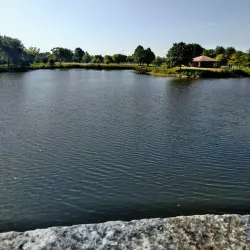 Lisle Community Park - Lisle