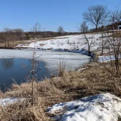 Lisle Community Park - Lisle