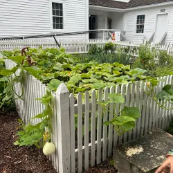 Lisle Heritage Museum - Lisle