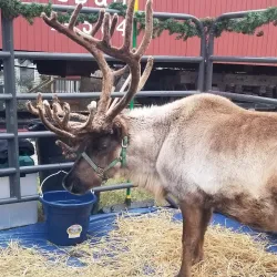 Lisle Station Park - Lisle