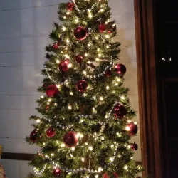 Lisle Station Park - Lisle