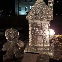 Lisle Village Hall and Civic Center - Lisle