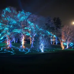 Morton Arboretum - Lisle