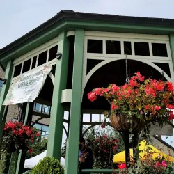 Lockport Farmers Market - Lockport