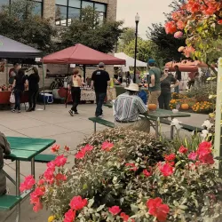 Lockport Farmers Market - Lockport