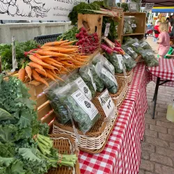 Lockport Farmers Market - Lockport