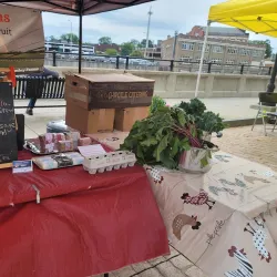 Lockport Farmers Market - Lockport