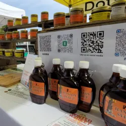 Lockport Farmers Market - Lockport