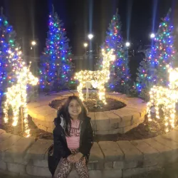 Lockport Historic Downtown - Lockport