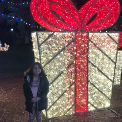 Lockport Historic Downtown - Lockport