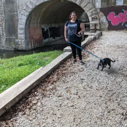 Lockport Township Park - Lockport