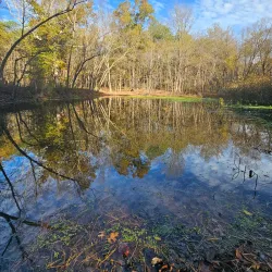 Crab Orchard National Wildlife Refuge - Marion