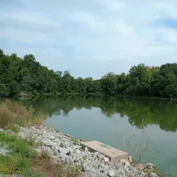 Crab Orchard National Wildlife Refuge - Marion