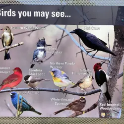 Crab Orchard National Wildlife Refuge - Marion