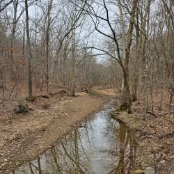 Crab Orchard National Wildlife Refuge - Marion